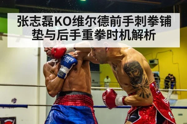 张志磊KO维尔德前手刺拳铺垫与后手重拳时机解析