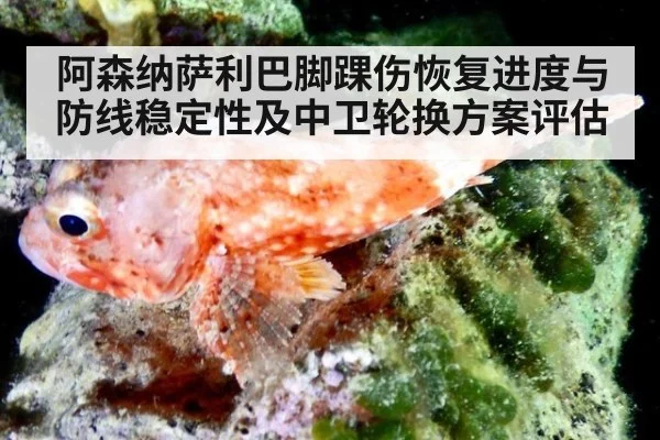 阿森纳萨利巴脚踝伤恢复进度与防线稳定性及中卫轮换方案评估 | World Cup 2026